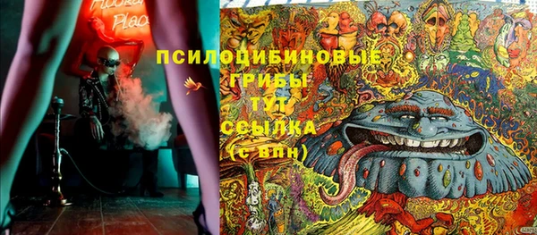 стафф Баксан
