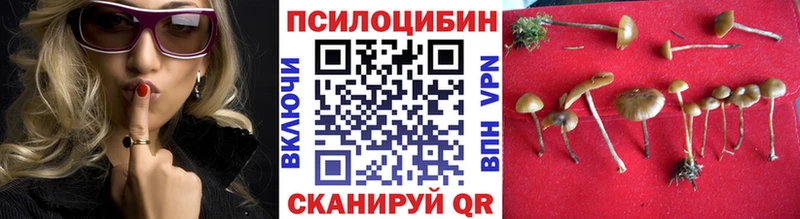 Псилоцибиновые грибы прущие грибы Щёлкино